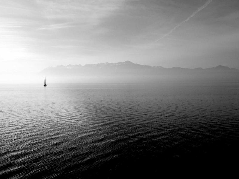 Ropa Casual Unisex La Romana