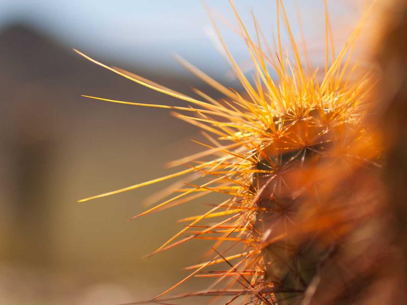 Luis Santana La Romana